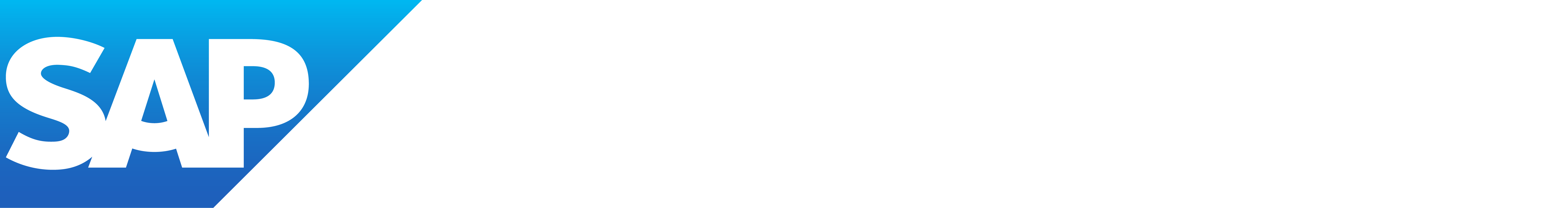 SAP_BusinessOne_R_grad_wht financialone logo